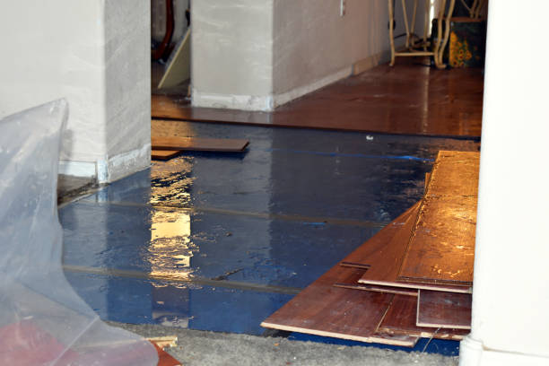 Professional Water Damage Restoration technician working in Flora, IL